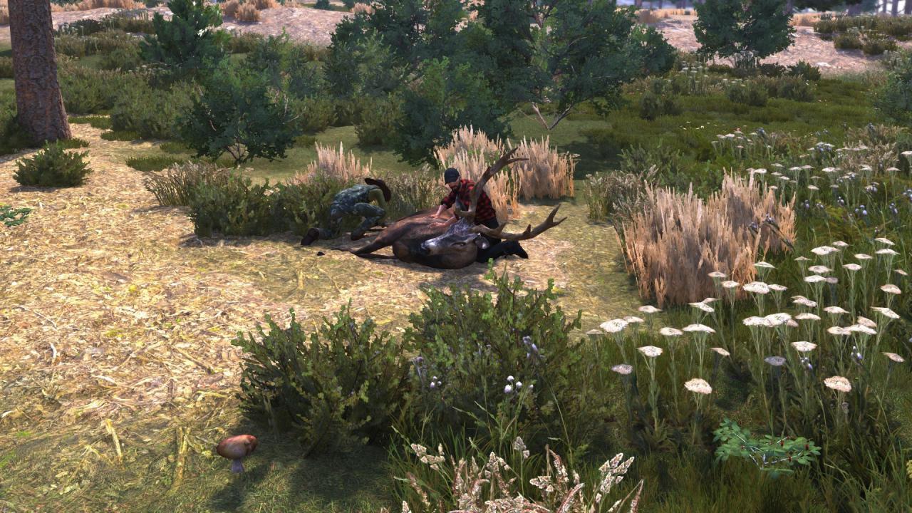 Lumberjack's Dynasty (Steam)