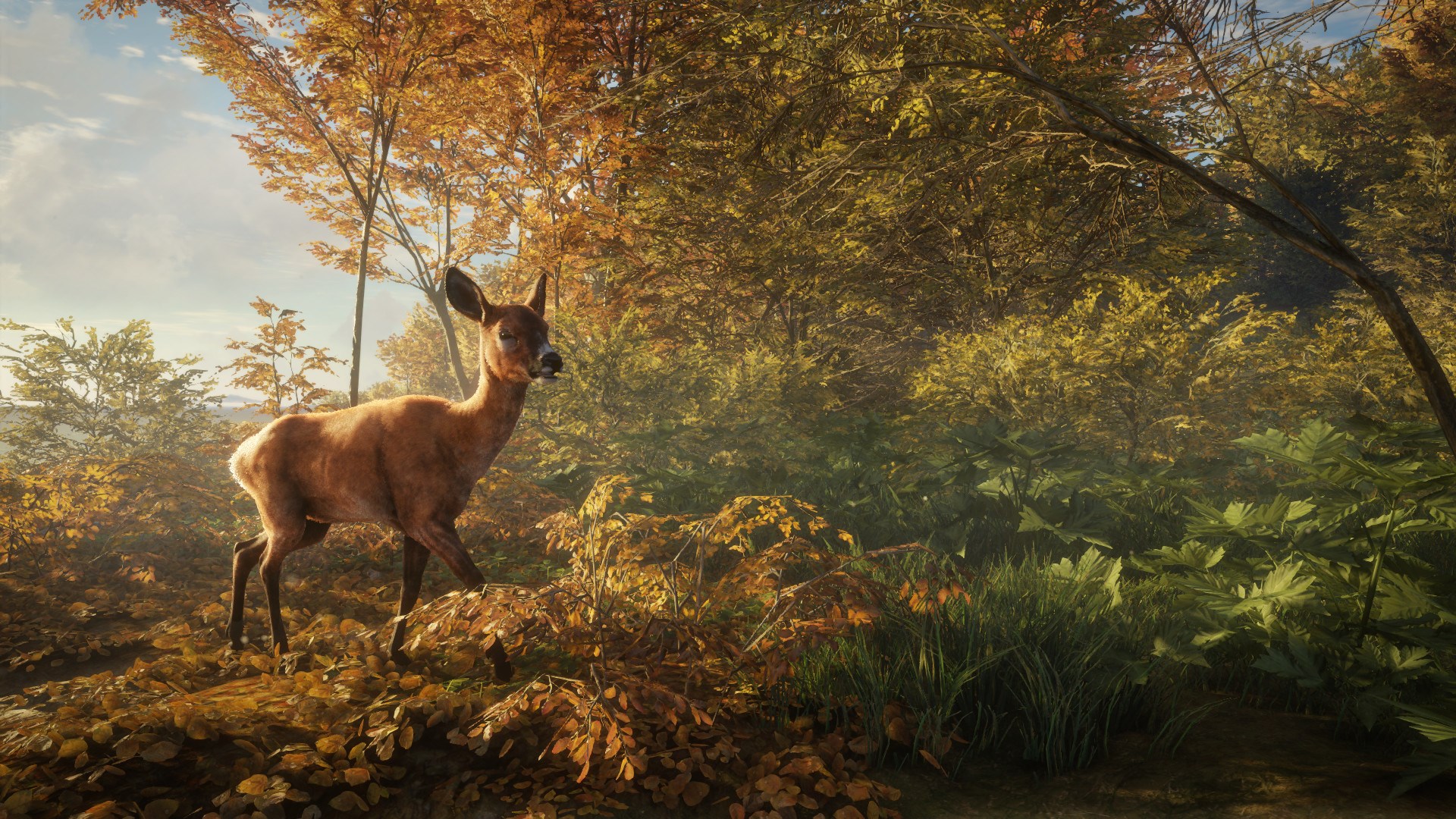 theHunter: Call of the Wild XBOX One / Xbox Series X|S Account
