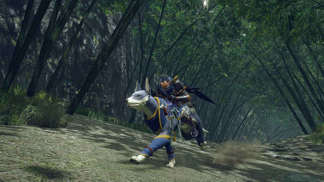 Monster Hunter Generations Ultimate Nintendo Switch Access