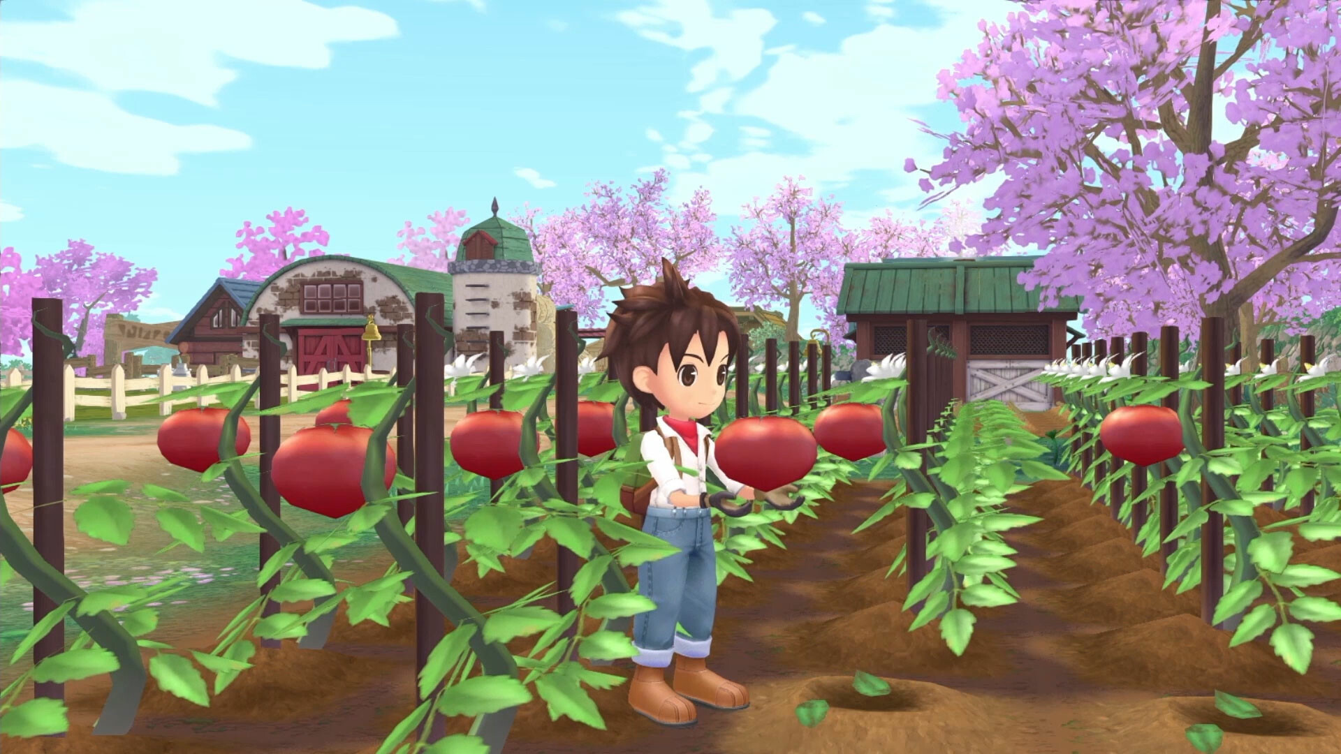 Story of Seasons: A Wonderful Life PC Steam CD Key