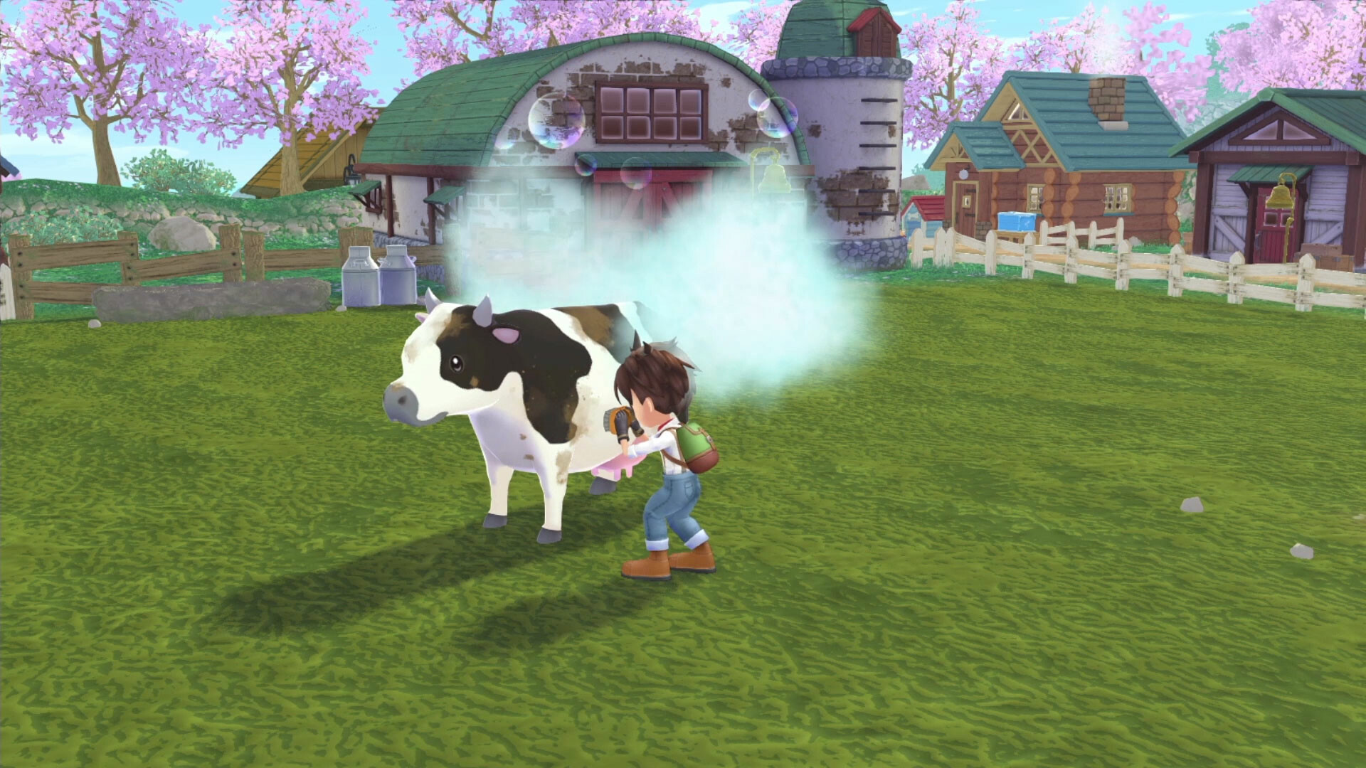 Story of Seasons: A Wonderful Life PC Steam CD Key