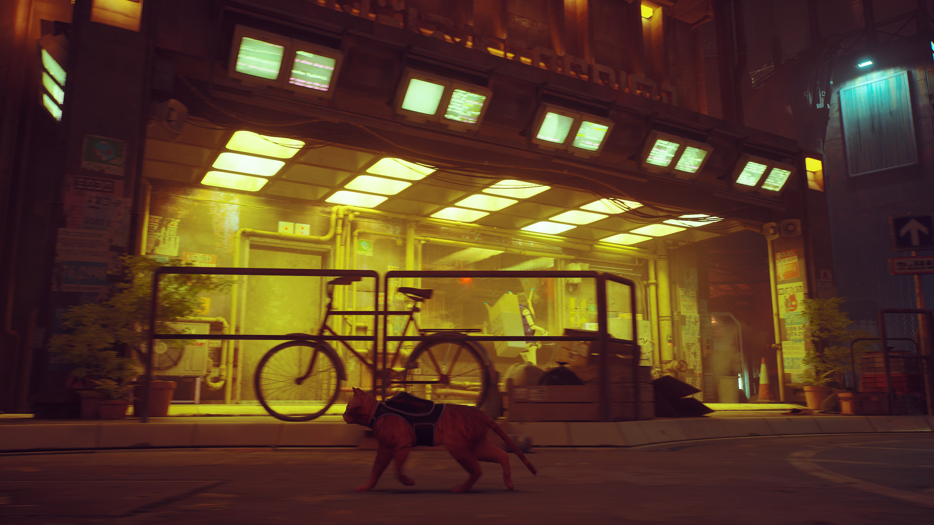 Stray EU XBOX One / Xbox Series X|S / Windows 10 CD Key