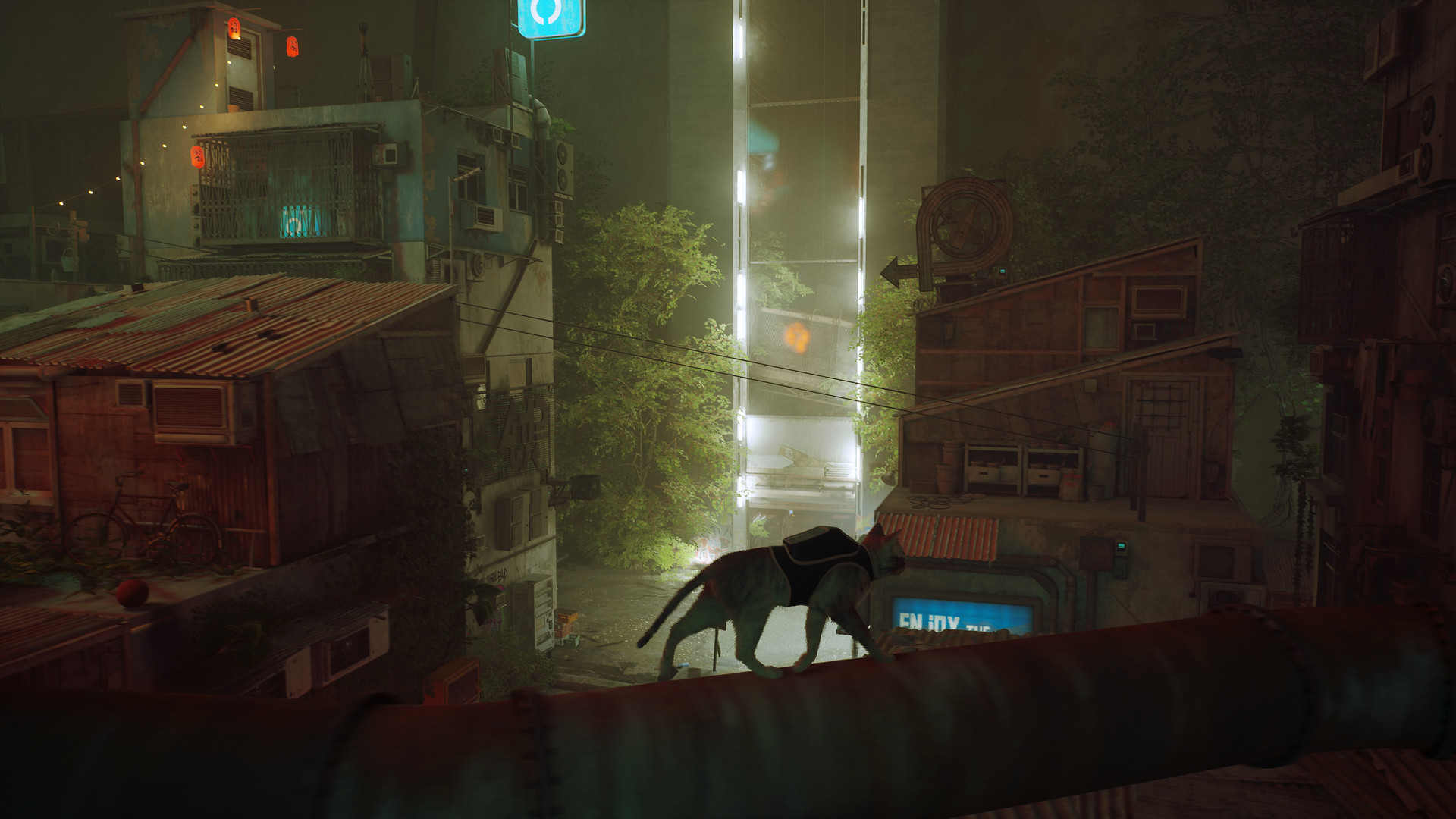 Stray EU XBOX One / Xbox Series X|S / Windows 10 CD Key
