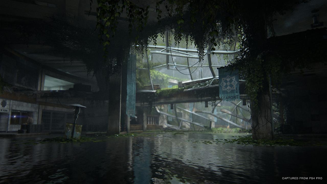 The Last Of Us Part 2 PS4 Account