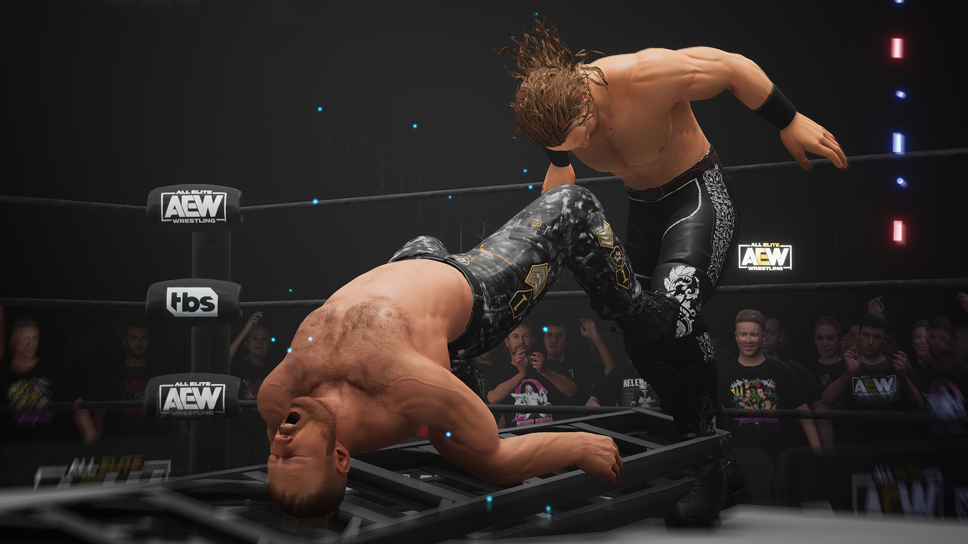 AEW: Fight Forever Steam Account