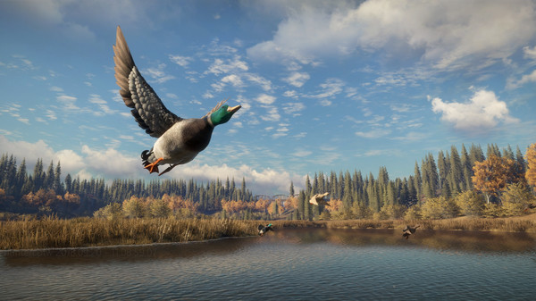 theHunter: Call of the Wild - Master Hunter Bundle XBOX One / Xbox Series X|S Account