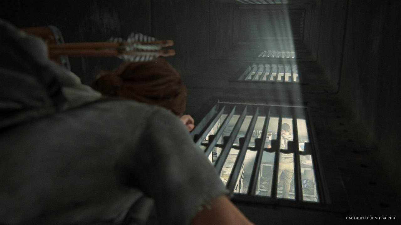 The Last Of Us Part 2 PS4 Access
