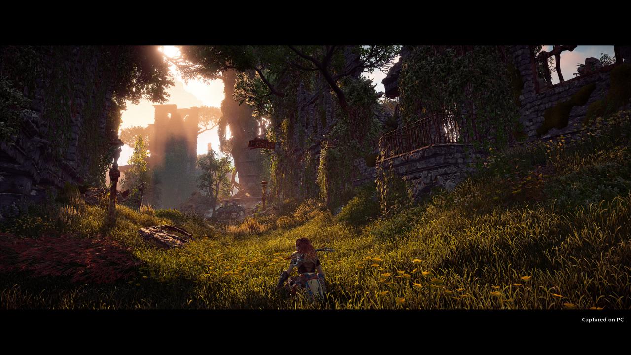 Horizon Zero Dawn Remastered Bundle PC Steam Account
