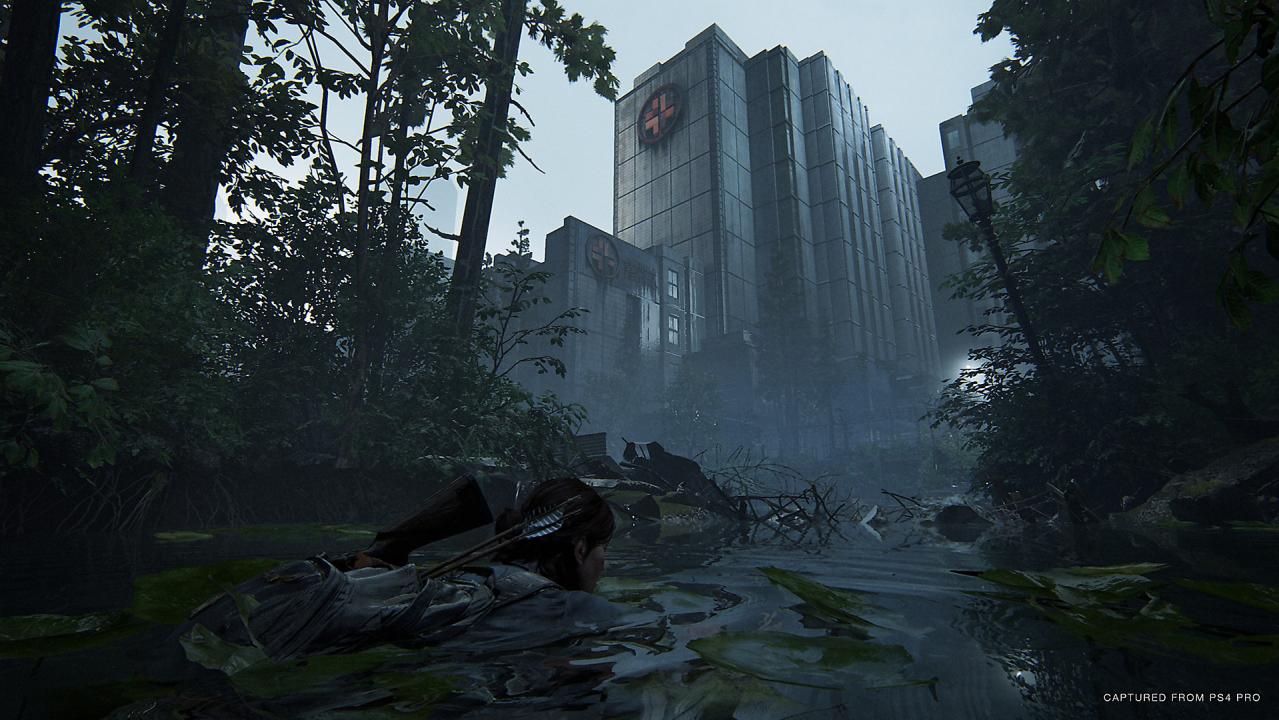 The Last Of Us Part 2 PS4 Account
